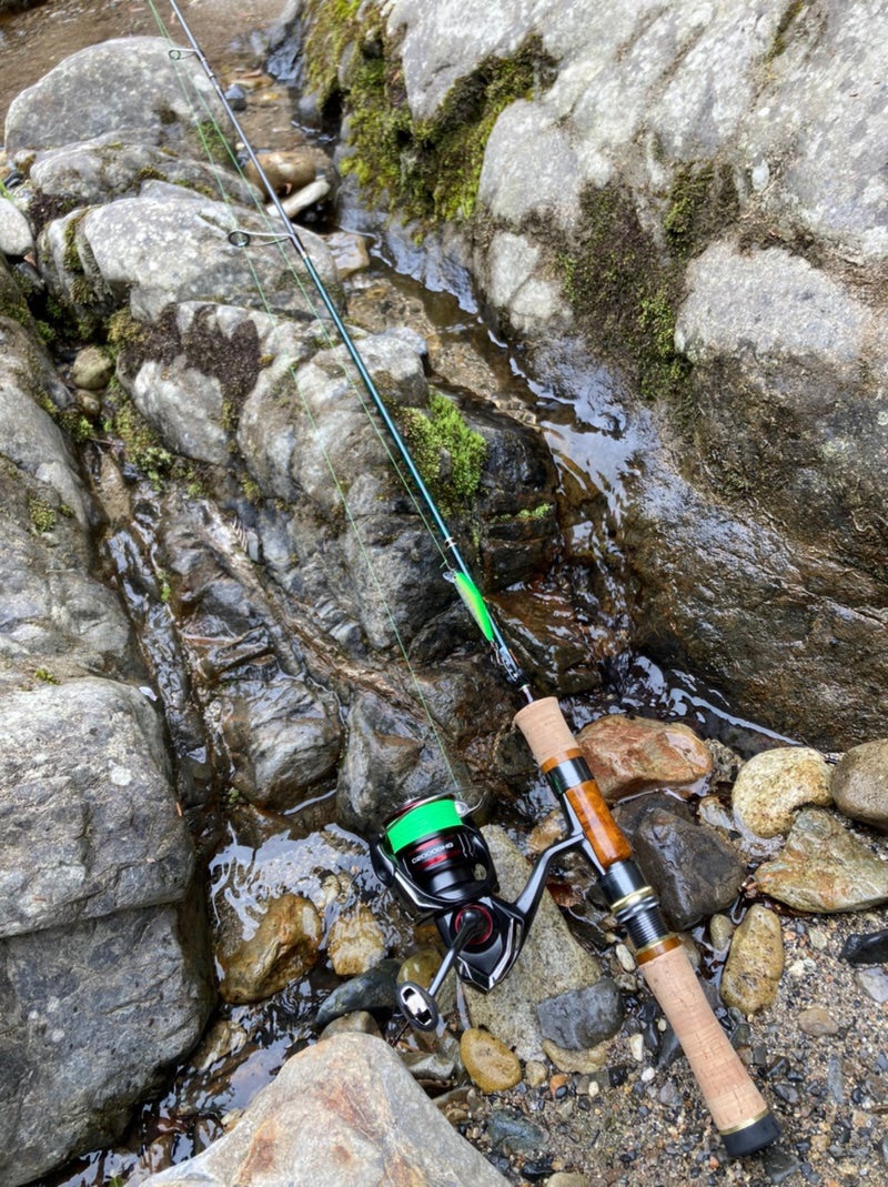 ファインテール542ULとヴァンフォードｃ2000ｓｈｇ