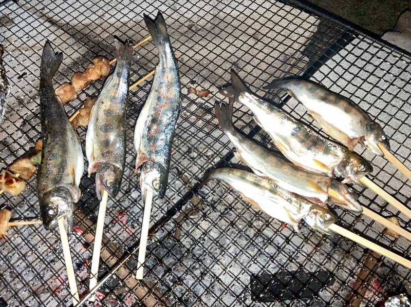 十津川渓流で釣ったアマゴを炭火で塩焼きに