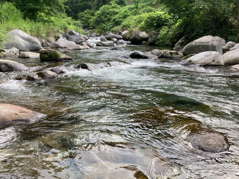 2025.7.5岐阜県郡上市寒水川で渓流つり。若干減水気味。