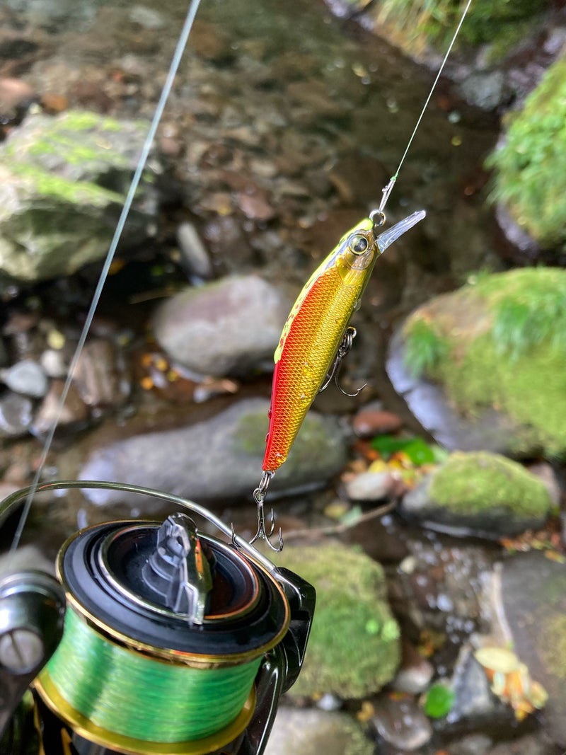 イワナを釣ったシルバークリークミノー61ｓ