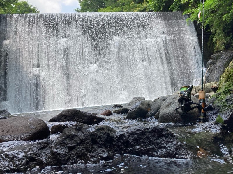 岐阜県郡上市寒水川の上流部の堰堤と渓流ルアー釣りタックル（ファインテールとツインパワー）
