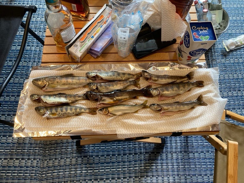 岐阜県郡上市寒水川で、BBQ用にルアーで釣った天然のアマゴとイワナ、計10匹