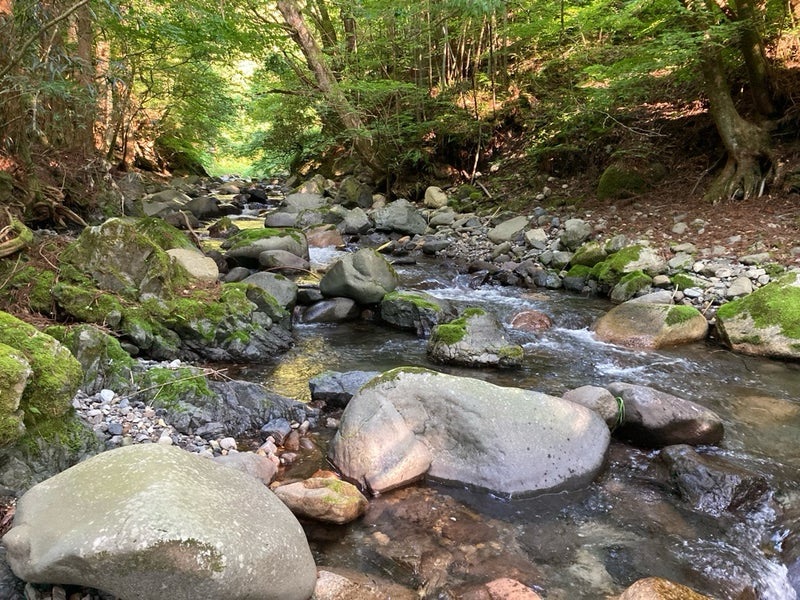 郡上市吉田川の枝沢