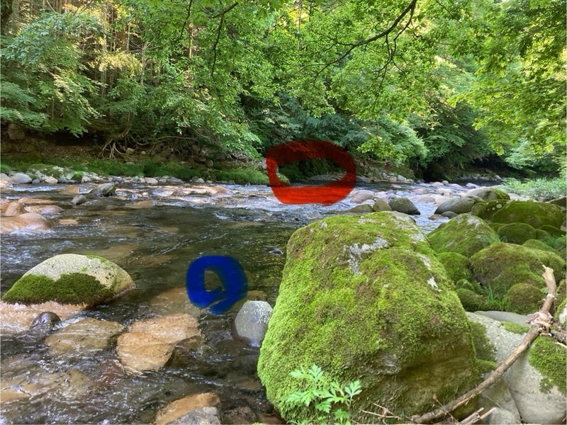 でんでんアマゴがヒットした吉田川のポイントと私の立ち位置