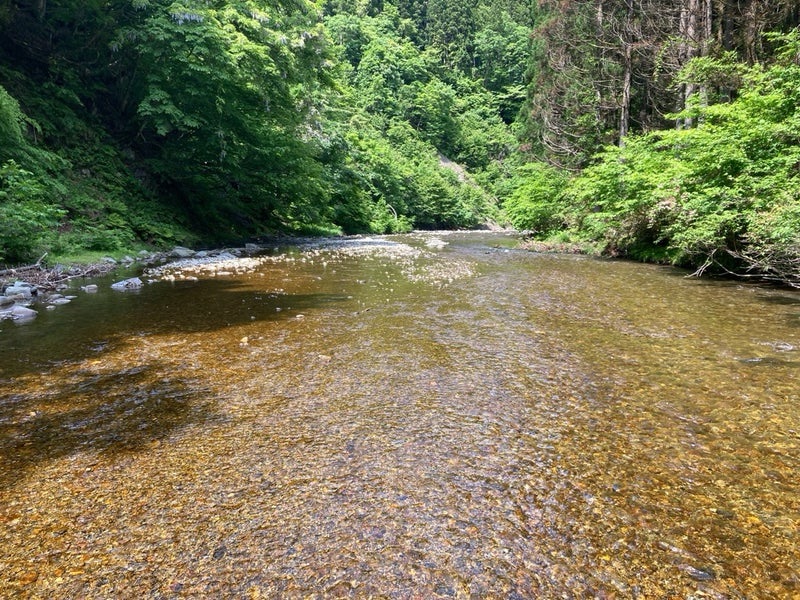 2025.6.1岐阜県郡上市の亀尾島川上流部のチャラ瀬