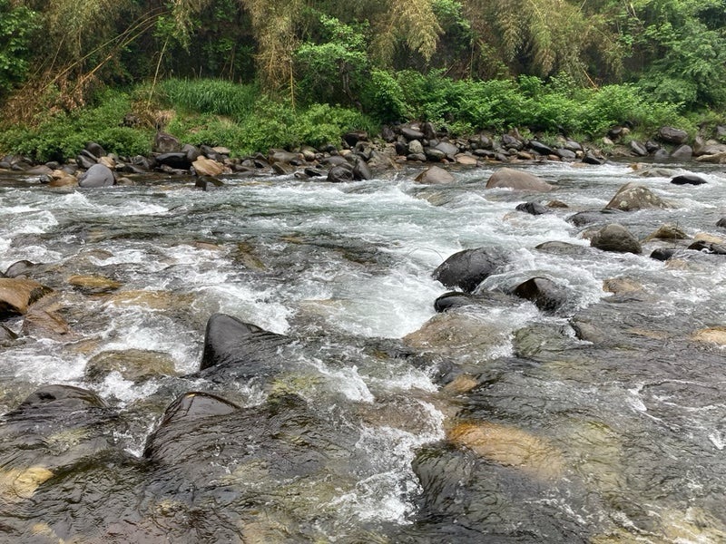 増水の吉田川中流部