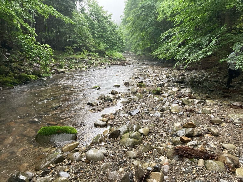 吉田川の小さな枝沢