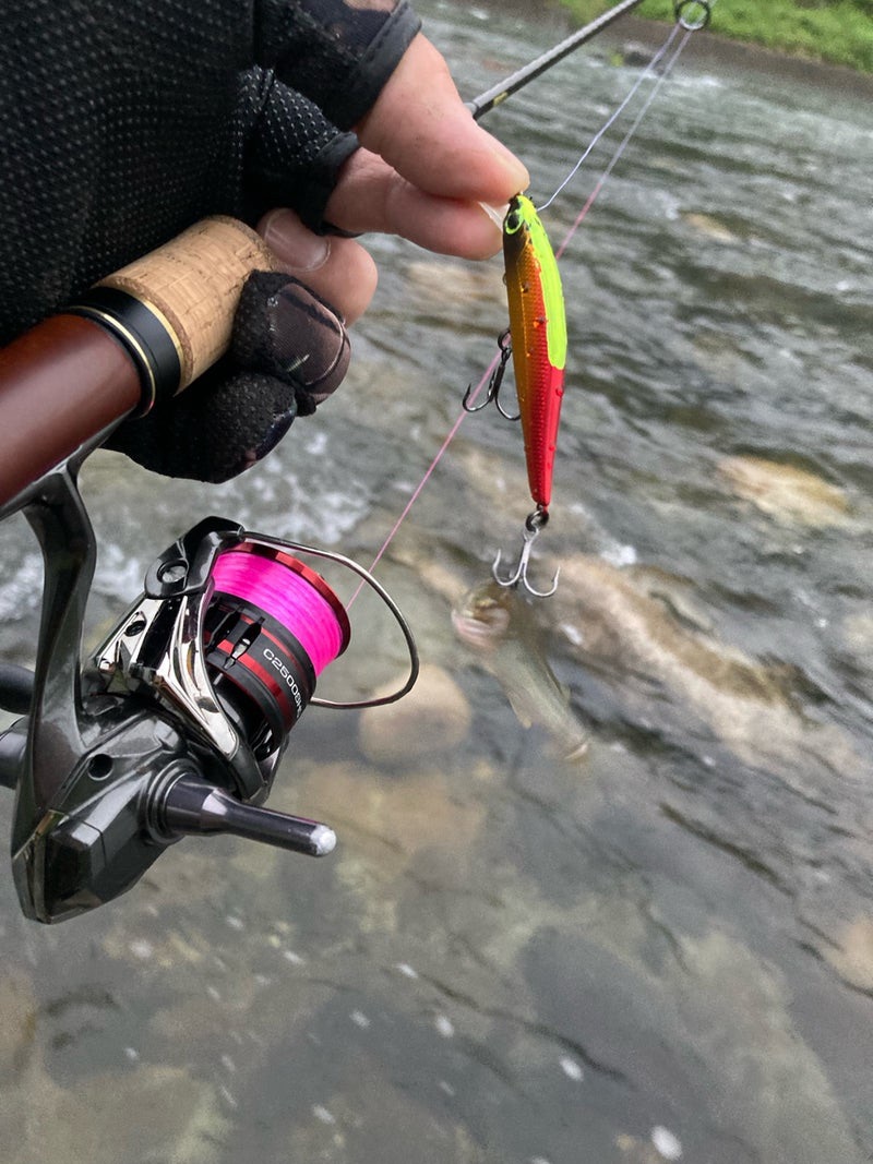 吉田川でダイワシルバークリークミノー61ｓを使ってシラメ（アマゴ）を釣った