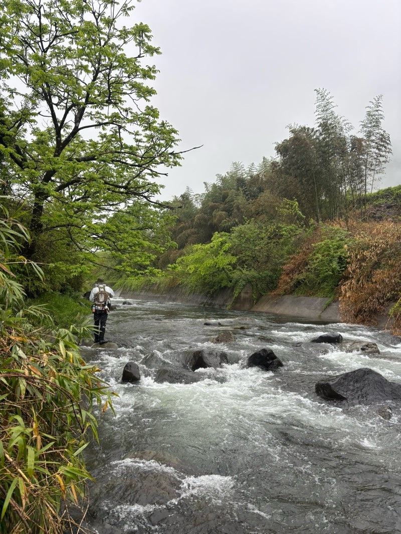 5月、大雨のあとで大増水の気良川