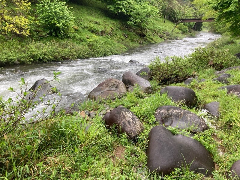 長良川水系、郡上エリアの栗巣川の下流部