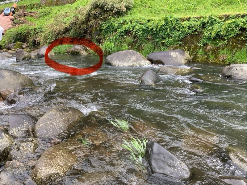 ニジマスが釣れたポイント