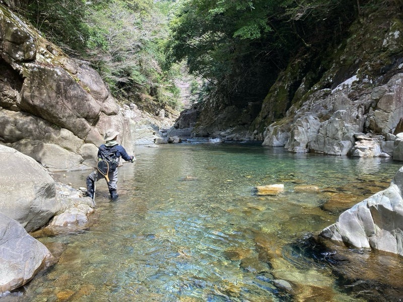 十津川支流の同行者
