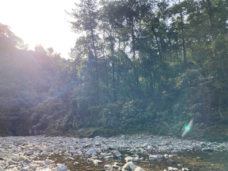 4月の寒い十津川渓流で、気温の上昇と共にカゲロウの孵化が増加してきた様子
