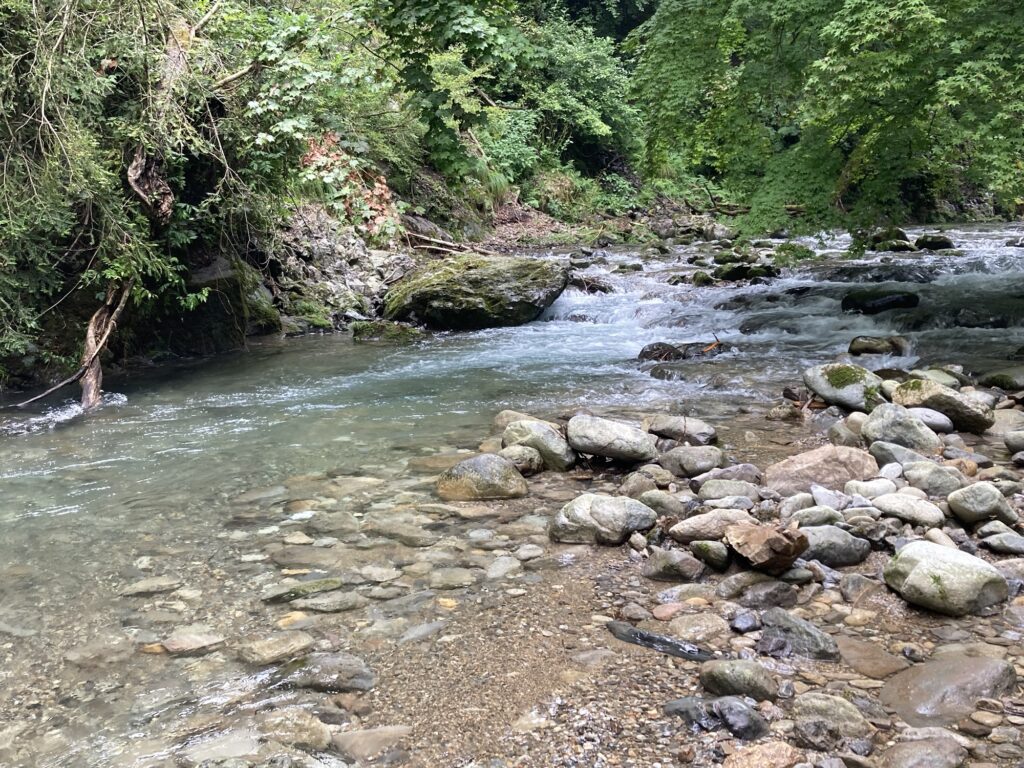 郡上市吉田川の枝沢の好ポイント