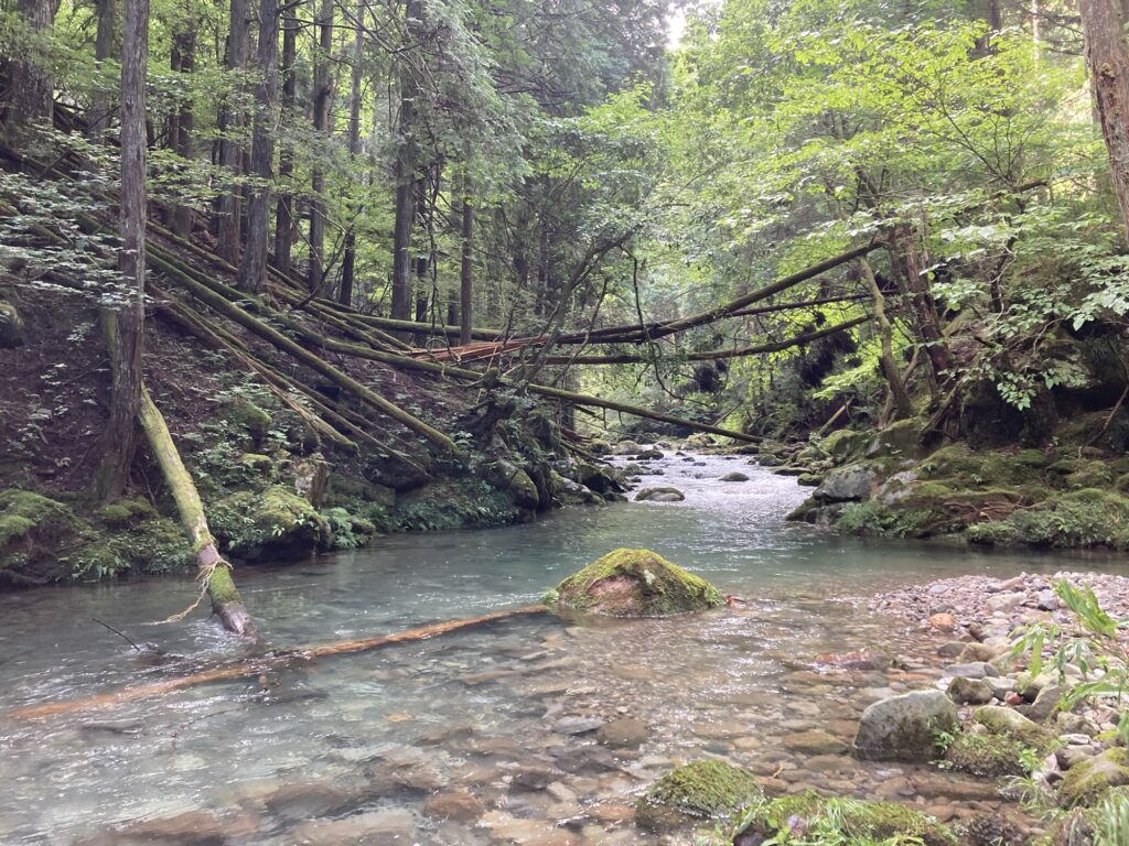 25.8.14郡上市吉田川の枝沢の好ポイント2