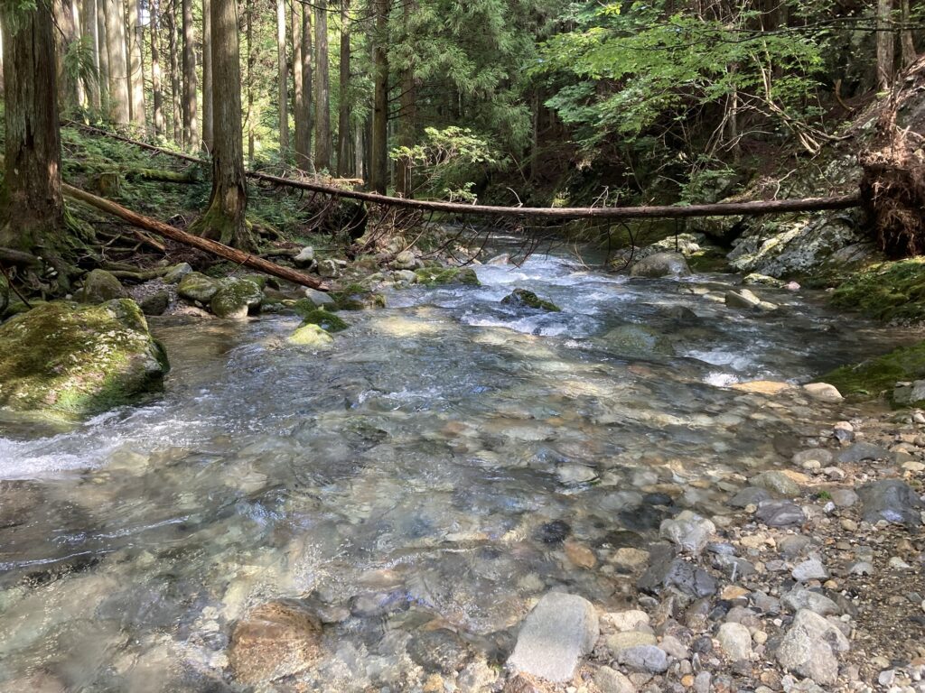 郡上の枝沢の様子2