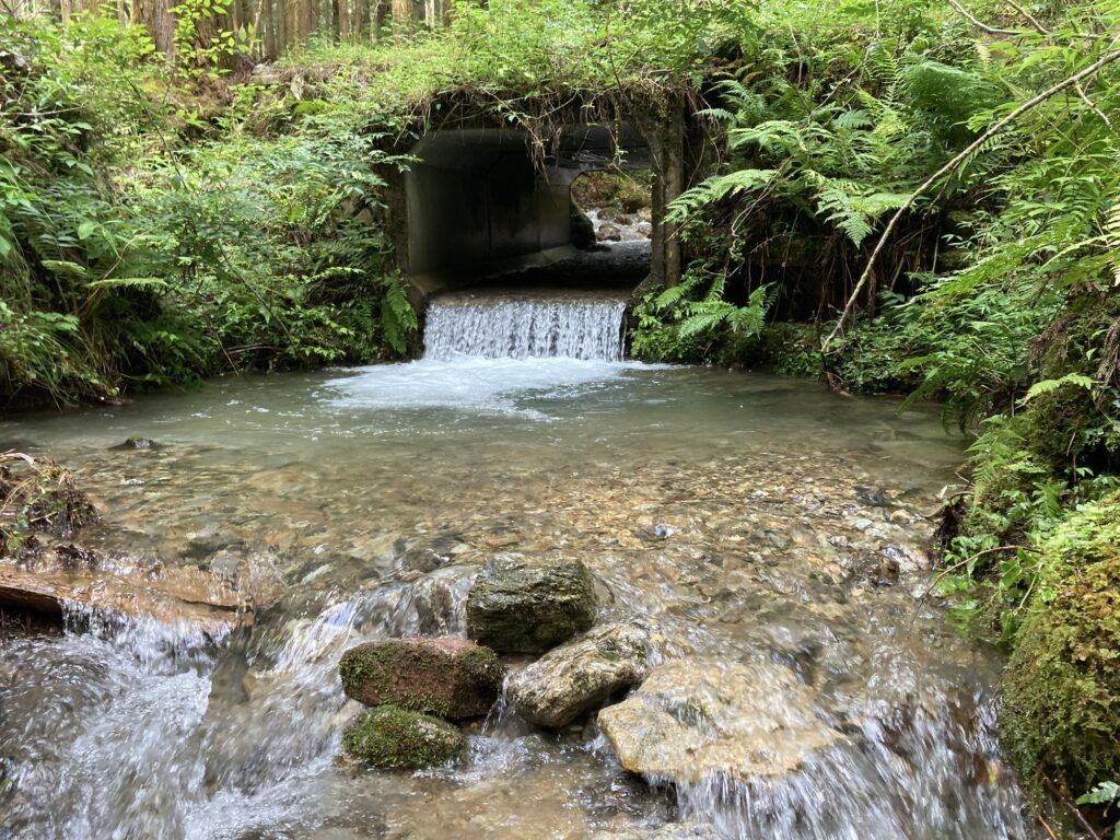郡上市吉田川の枝沢の林道にかかるちいさな橋(トンネル)