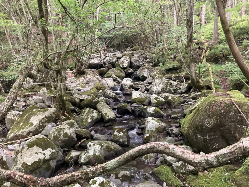 郡上渓流最上流部の枝沢