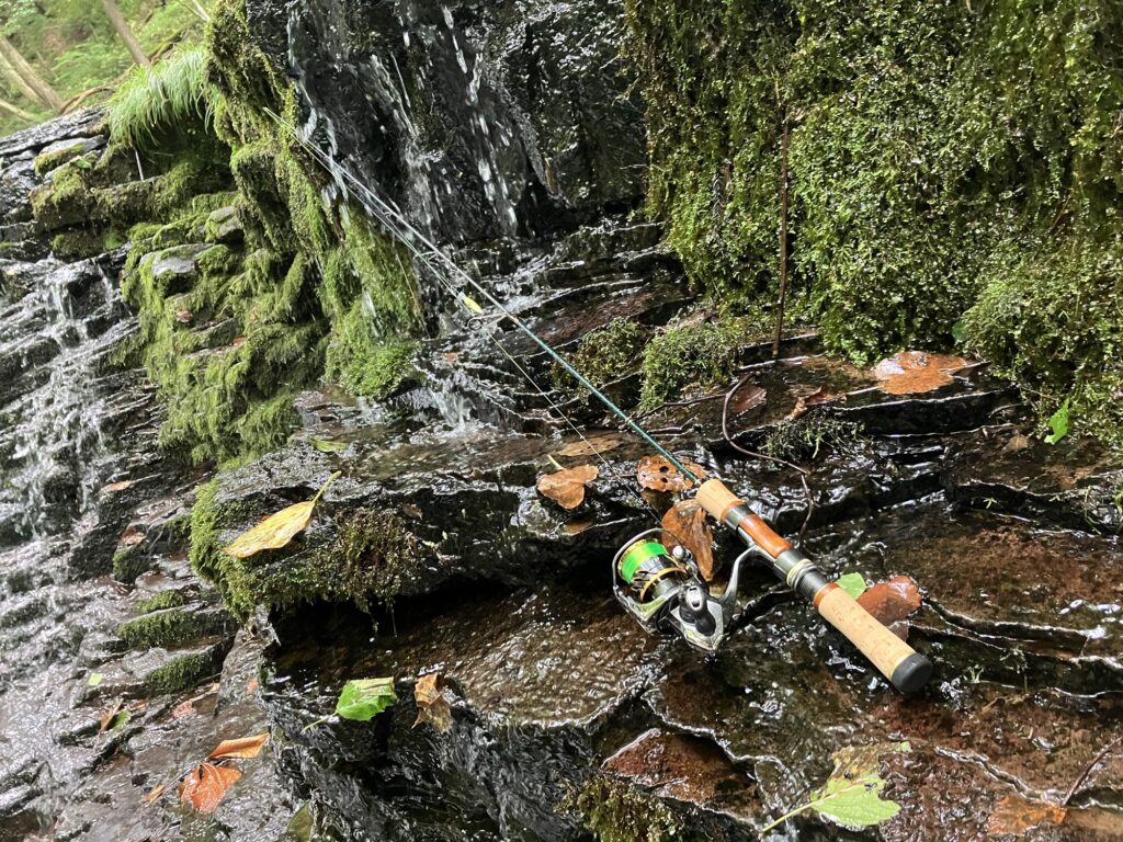 郡上の渓流の源流部で活躍したSHひろあきのタックル。ファインテール502UL、ツインパワーｃ2000ｓｈｇ、ヤマトヨテグス　ファメルトラウトサイトVer　5ｌｂ