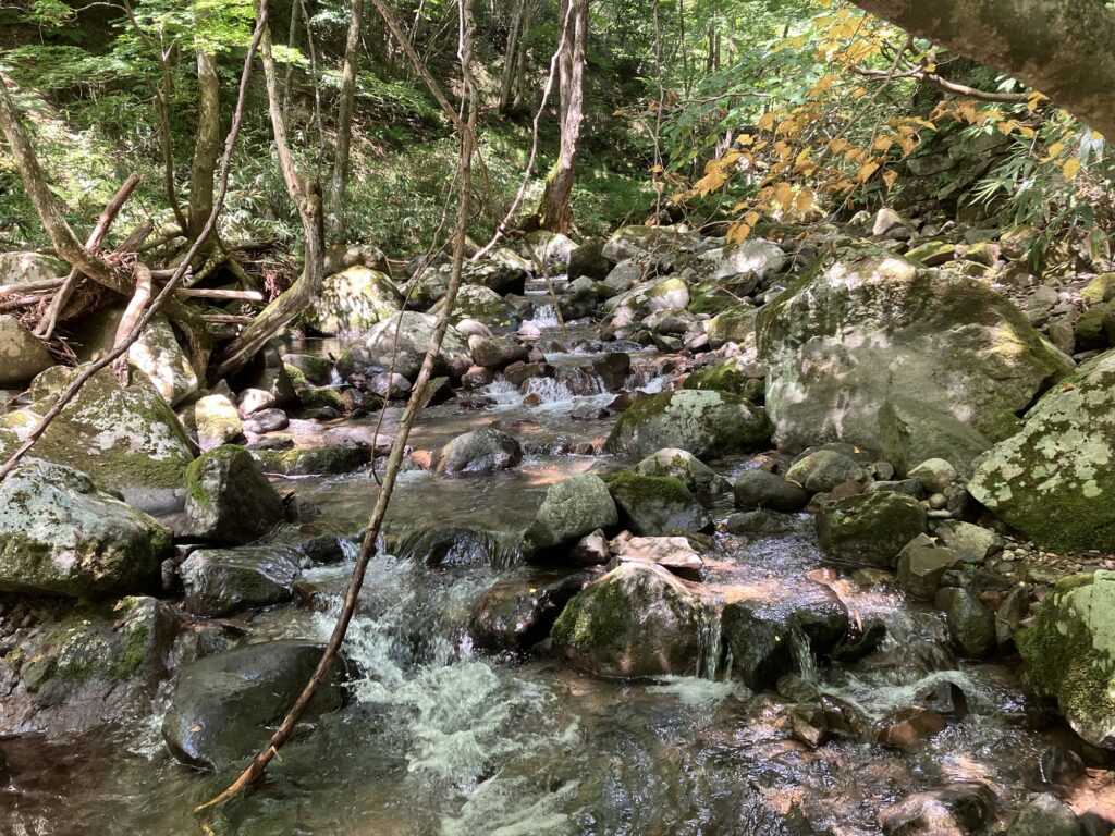 緑豊かな渓流の風景。小石や大きな岩が点在し、流れる水が心地よく感じられる自然の様子。
