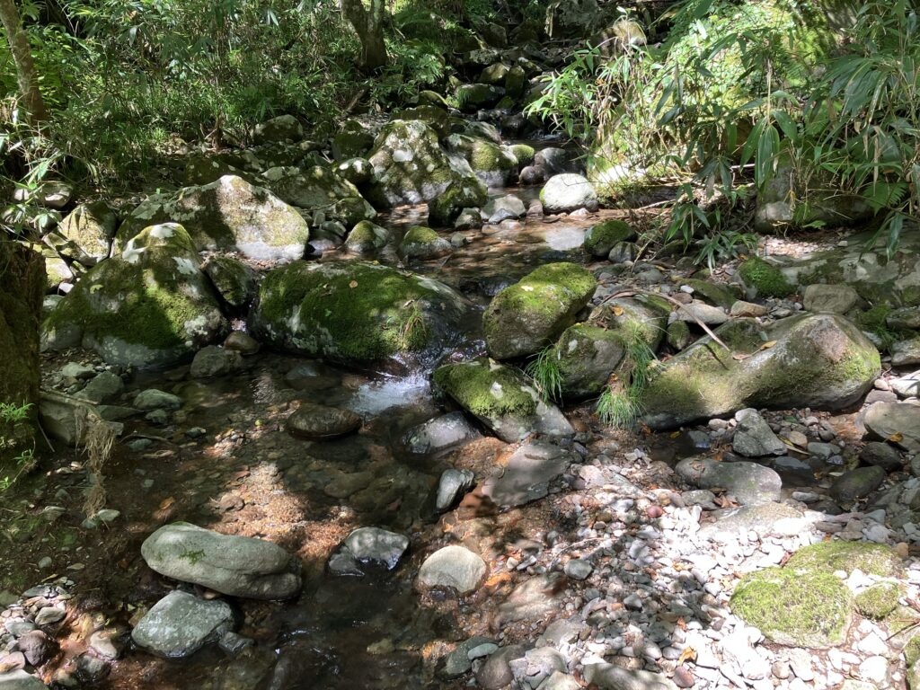 渓流に流れる水と苔むした岩が景観を形成している自然の風景