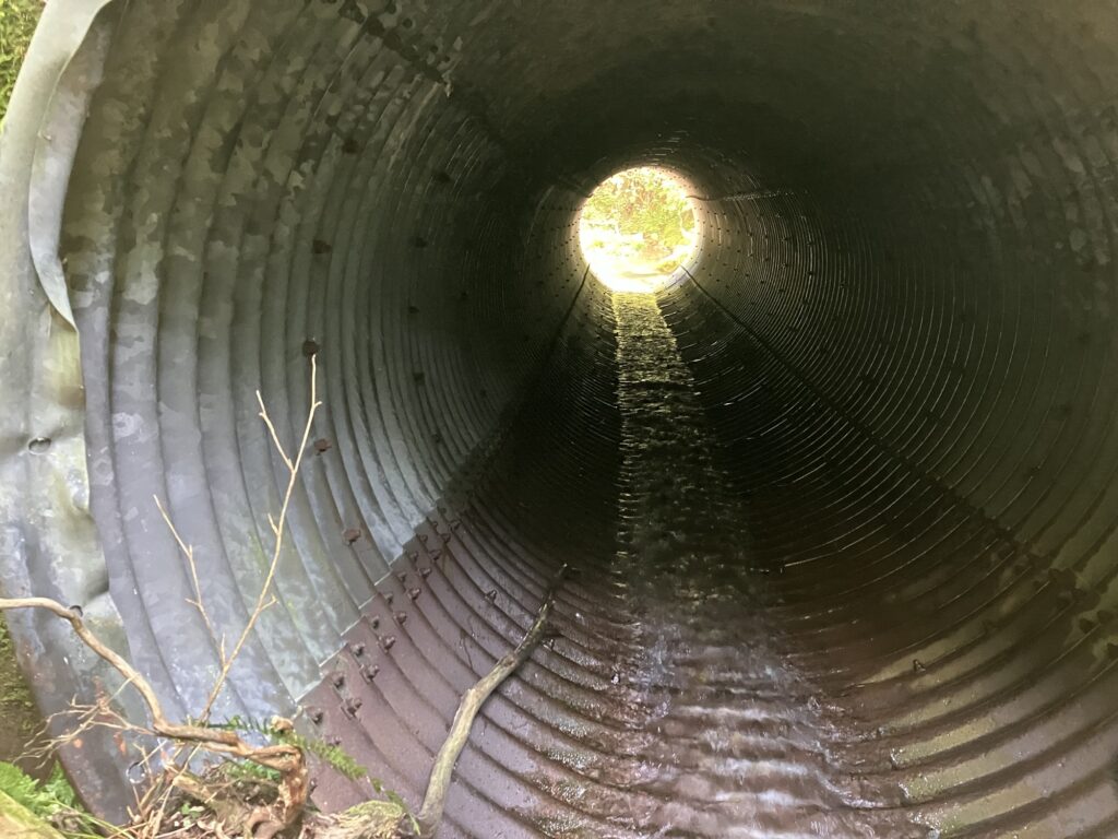 浅野川の支流に向かう枝沢出口のトンネル