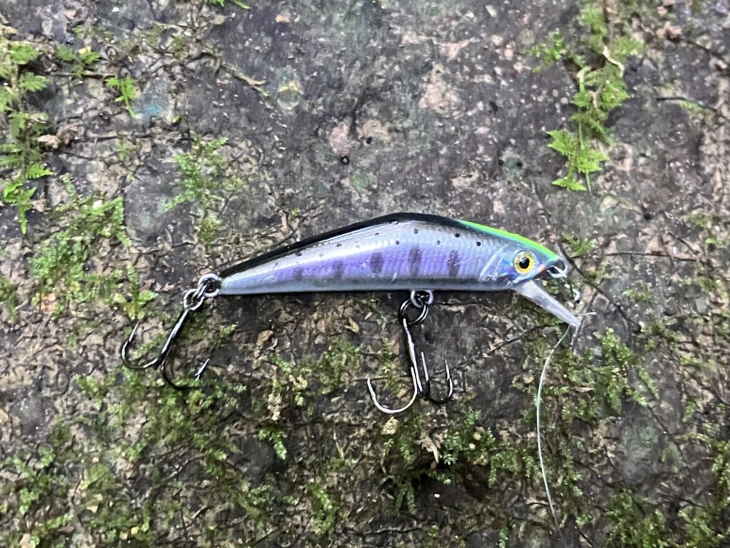 SHひろあきが気に入っているスミス dコンパクト45のおすすめカラー、クロギンチャート