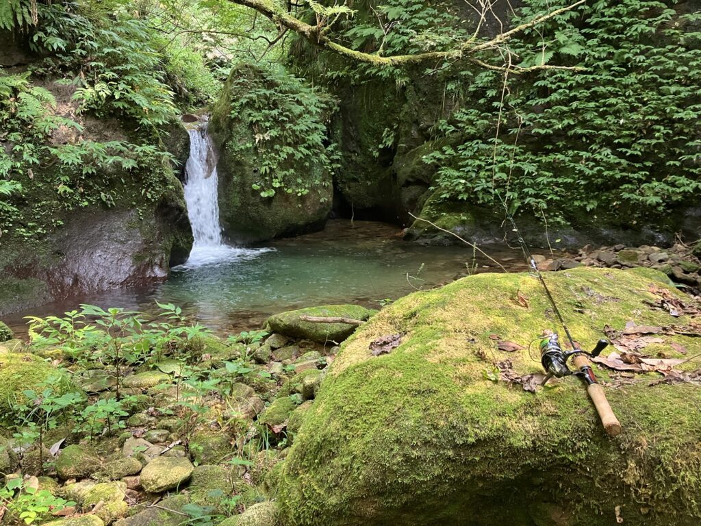 北陸遠征渓流釣行、最後のポイントとなった滝壺。
