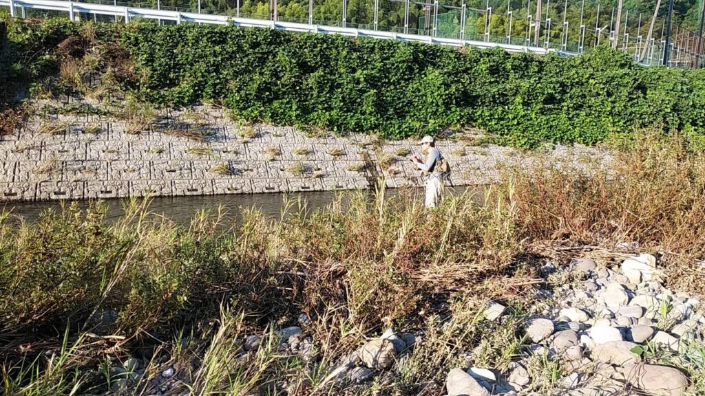 8月末、石川県金沢市にて、夏の渇水の浅野川本流でヤマメをルアーで狙うSHひろあき