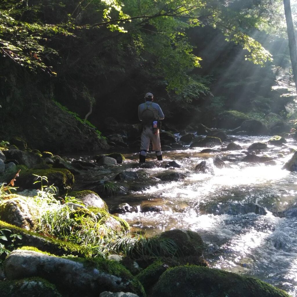 渓流で釣りをする男性が水辺に立っている様子。周囲は青々とした木々と日差しが差し込み、石や水草が見える。