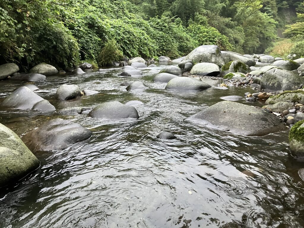流れる小川に大きな岩が点在する風景