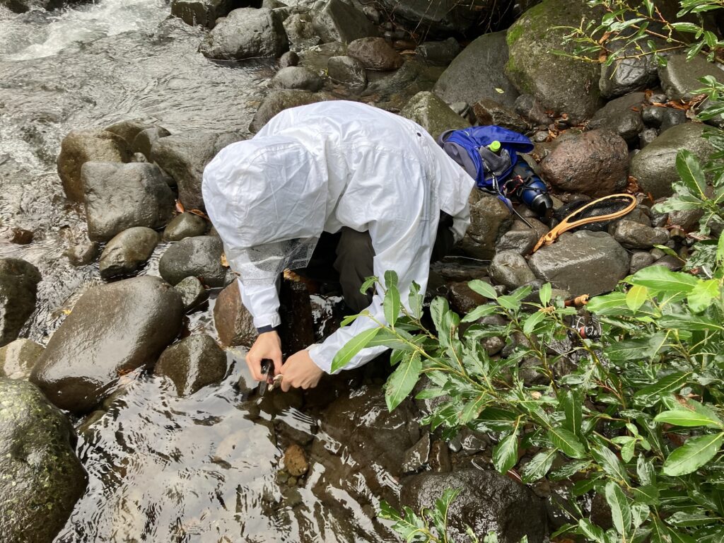 川のそばでアマゴを捌く後輩OG、周囲には大きな岩と植物が生い茂っている