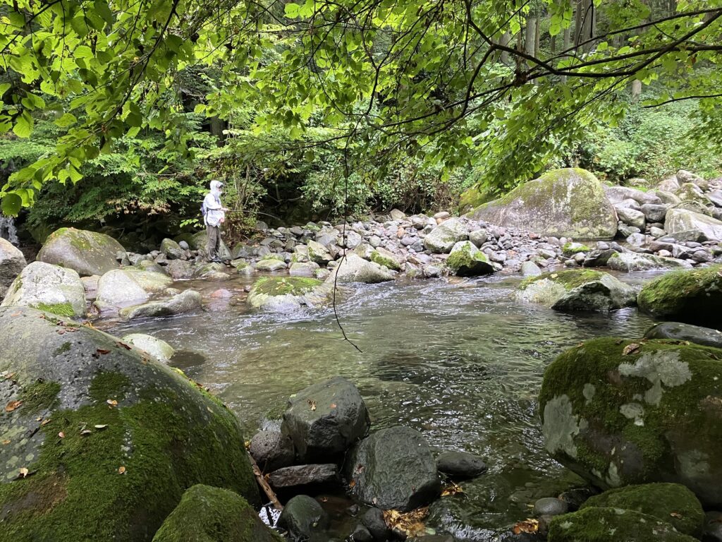 川で釣りをする人が立っている風景。周囲は岩や緑の木々に囲まれた自然の中で、穏やかな水流が流れている。