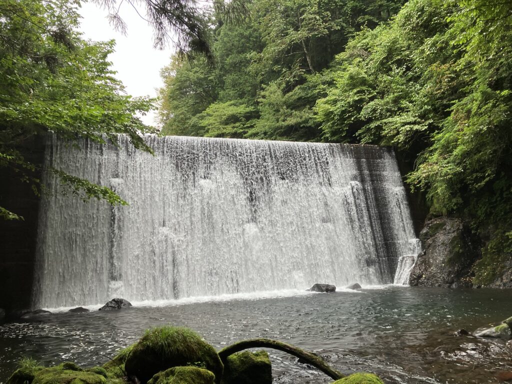 郡上の堰堤の滝壺に落ちる水の流れを映した風景。周囲は緑豊かな木々に囲まれており、滝の近くに岩と苔が見られる。ここでは少し肌寒いぐらい