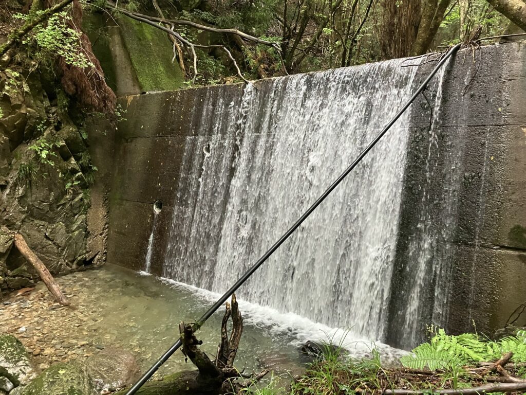 小川に架かるコンクリートの堰堤と、その下を流れる水の様子。周囲には緑の植物が生い茂っている。