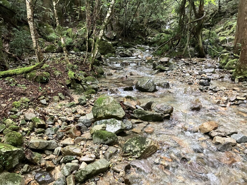 郡上の渓流で苔むした岩と流れる水がある自然の風景