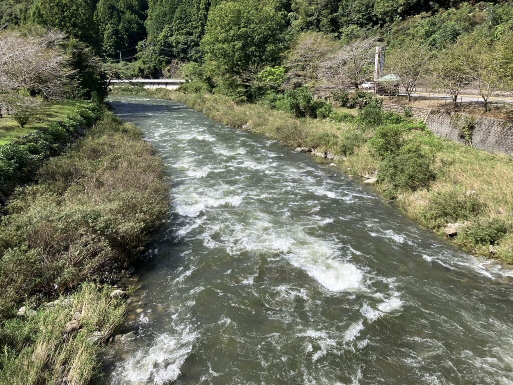 清流が流れる自然の風景