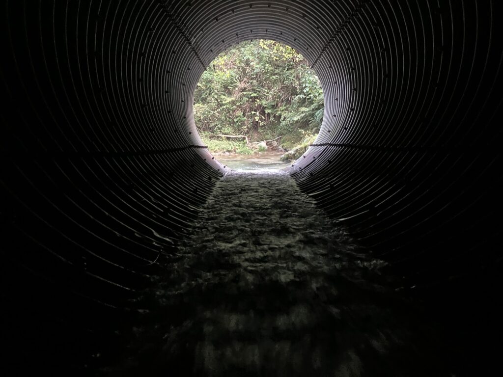 水流が流れるトンネルの内側からの視点。トンネルの出口には緑の景色が見える。