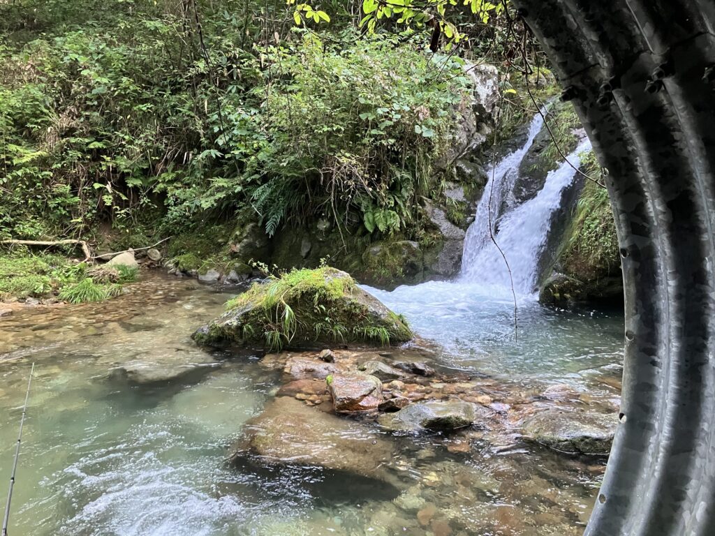 緑に囲まれた清流の風景、岩と滝がある川の流れ。