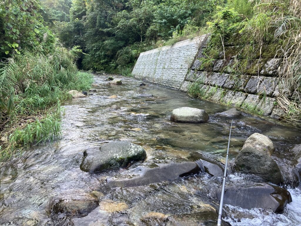 渓流の風景、緑に囲まれた水の流れと石のある川底を映した画像。岸にはコンクリートの護岸が見える。