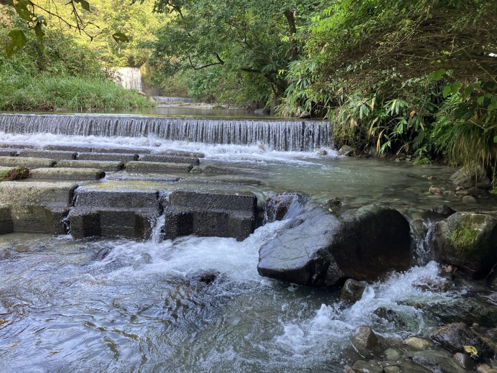 清流と滝が見える風景、石の階段と水が流れる場所を描写。周囲には緑の木々が生い茂っており、自然の美しさを感じさせるシーン。