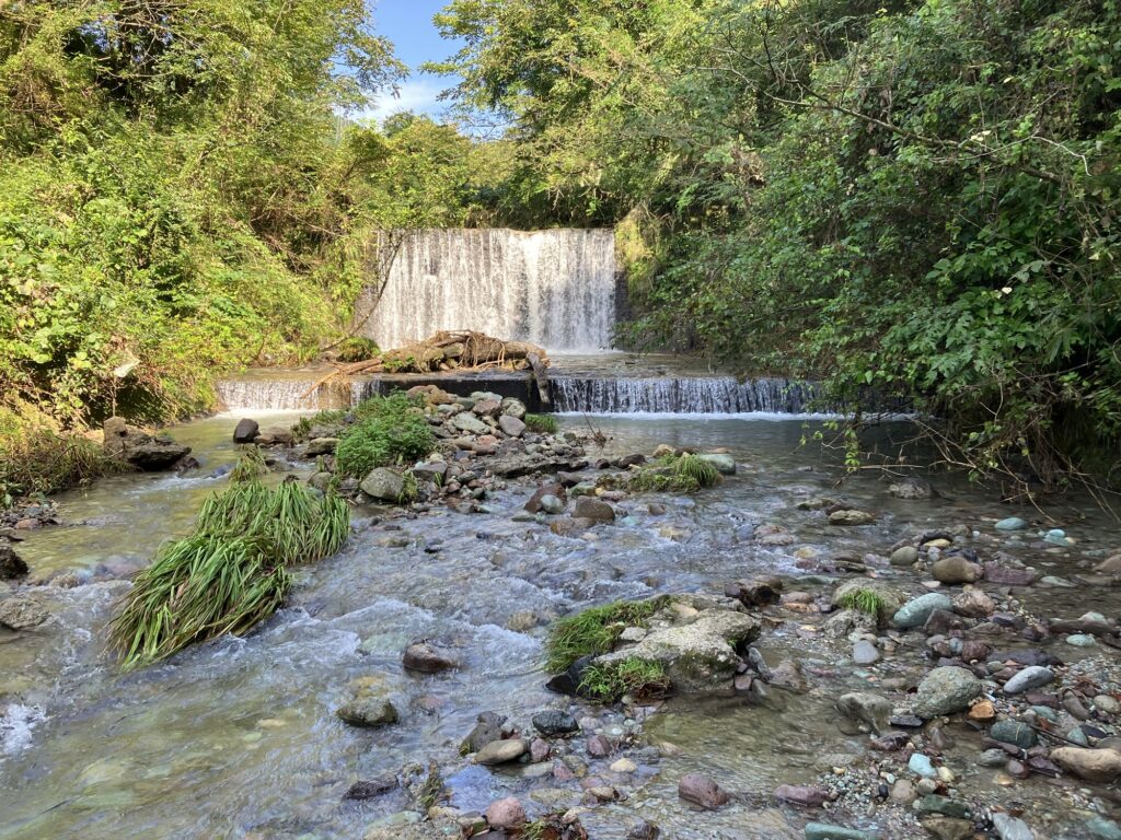 清流の風景、滝と岩、周囲の緑が豊かな自然環境が広がる
