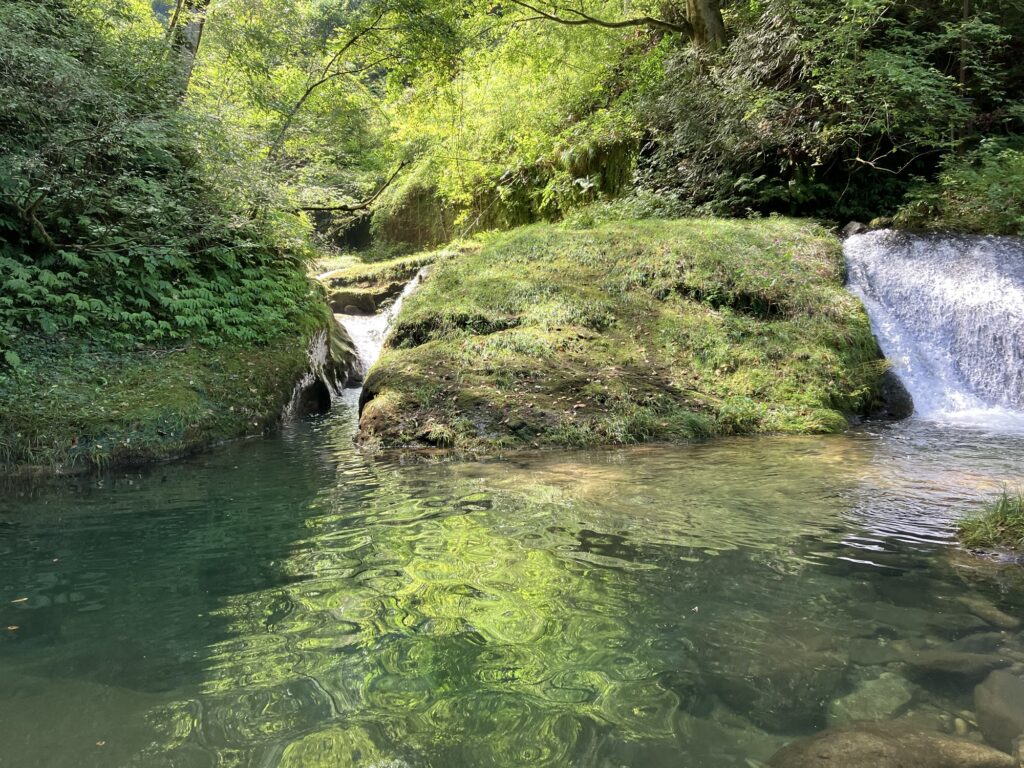 緑豊かな渓流の風景、静かな水面と小さな滝が見える