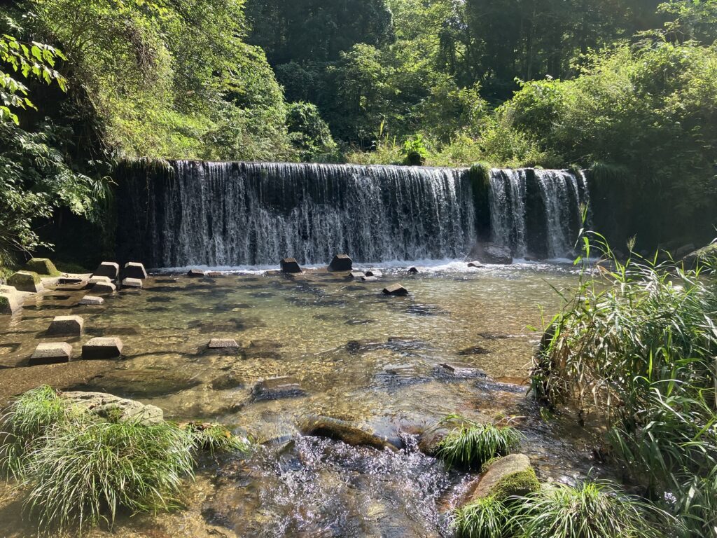 清流と滝が見える自然豊かな渓流の風景。周囲には緑豊かな木々と草が生えている。