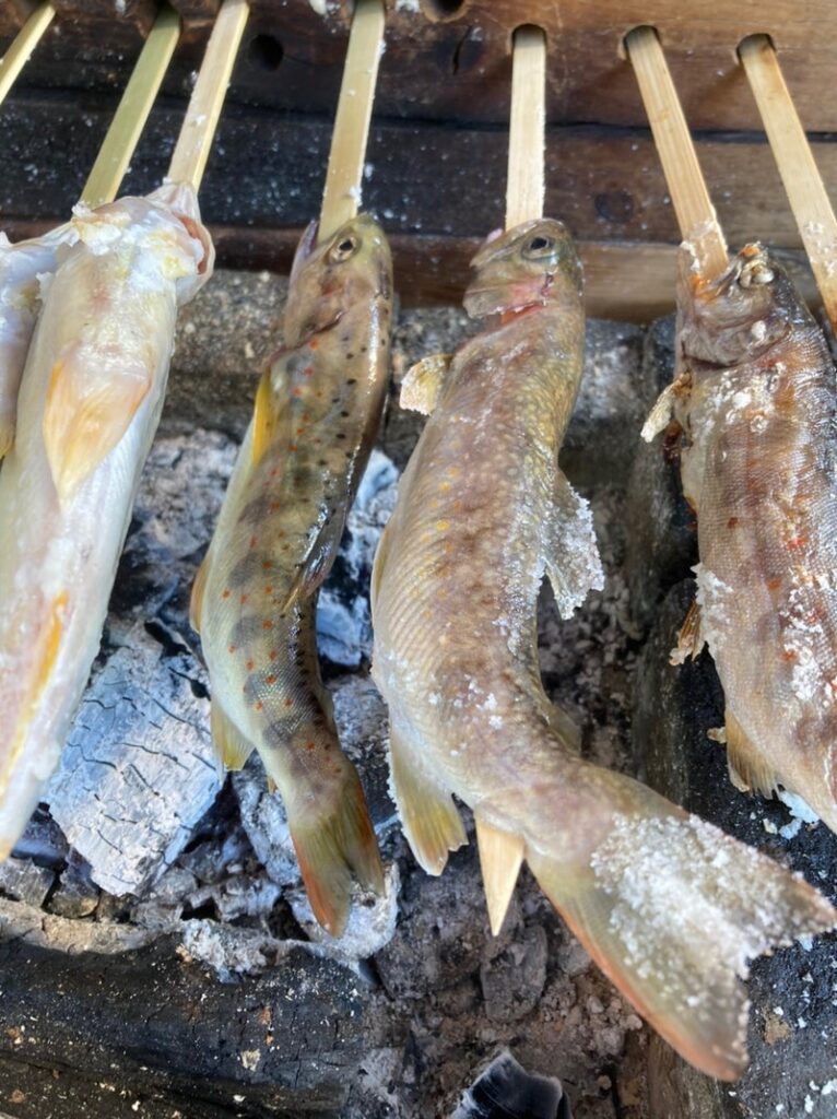 奈良県十津川村の大野川で釣ったアマゴとイワナを帰りにお店で塩焼きにしてもらった。