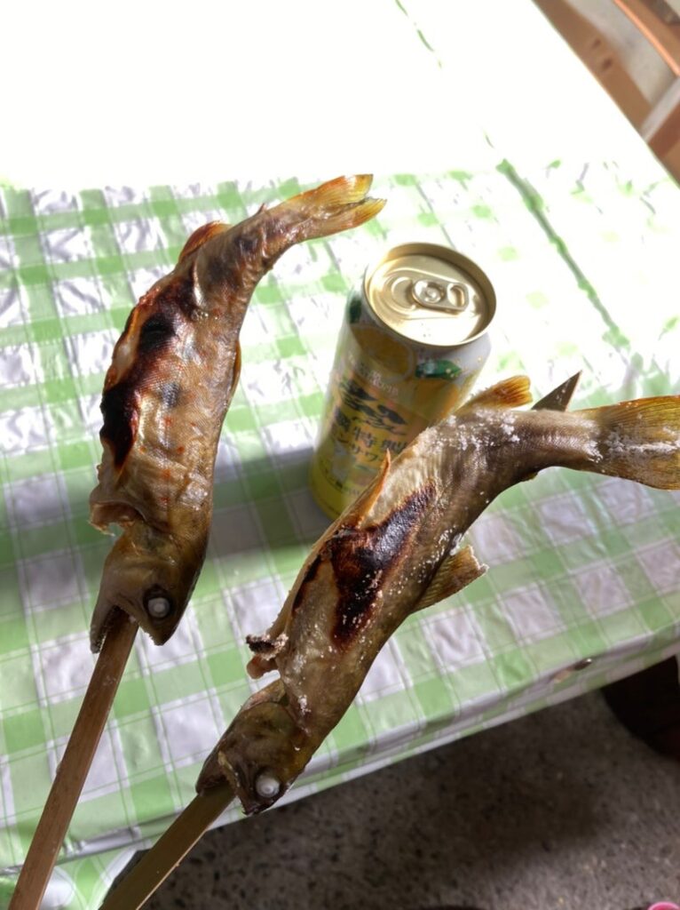 焼かれたアマゴとイワナが串に刺さっていて、一缶のビールが横に置かれた食卓の様子