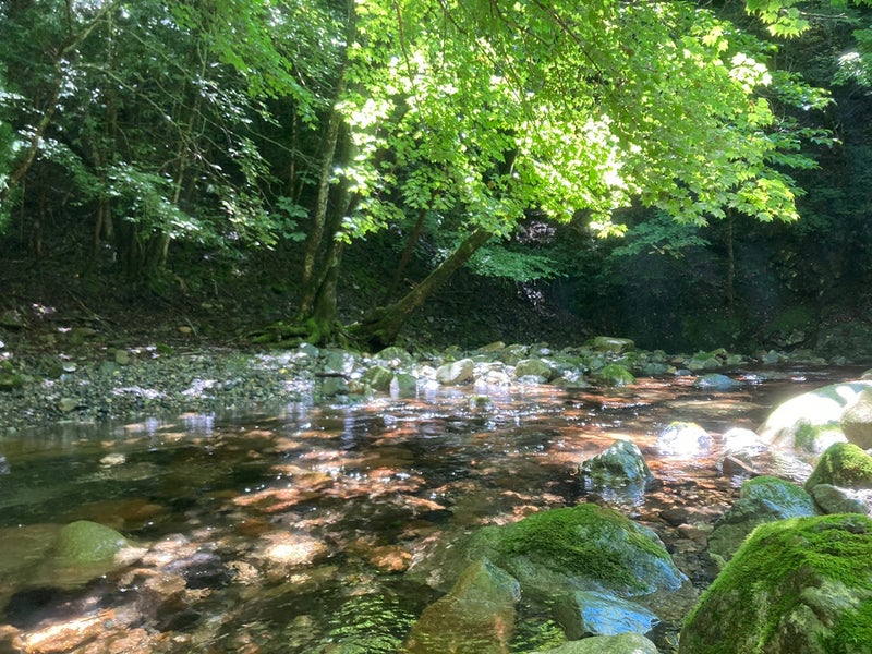 奈良県十津川村の大野川の源流域