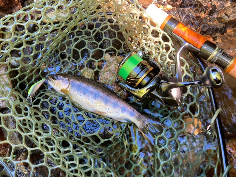 スミスDコンタクト50チャートバックにヒットした21ｃｍのアマゴ