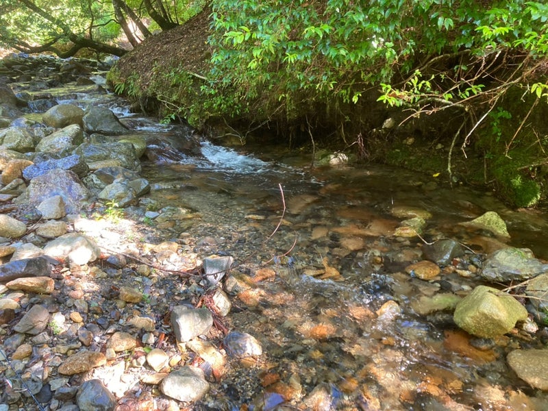 23ｃｍのイワナがヒットしたポイント