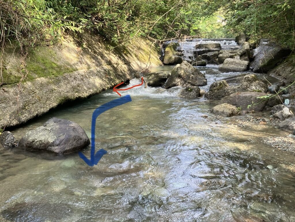 清流に流れる小さな石と岩の間に見えるポイント。赤い矢印と青い矢印で示された流れの方向が強調されている。
